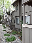 Photo32482
